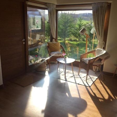 Sorginorratz Habitacion Con Encanto Luzuriaga ภายนอก รูปภาพ